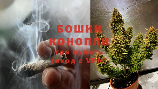 спайс Белокуриха