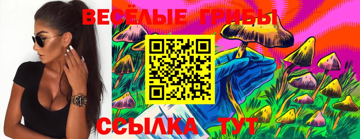 Галлюциногенные грибы Psilocybine cubensis Реж